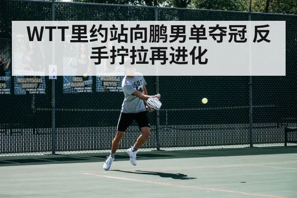 WTT里约站向鹏男单夺冠 反手拧拉再进化