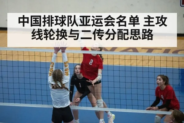 volleyball setter action